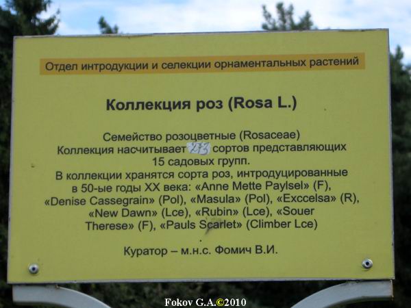 Botanical garden, Minsk