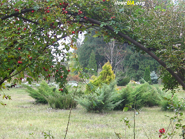 Днепропетровский ботанический сад Поляна с декоративными кустами.  http://iloveua.org