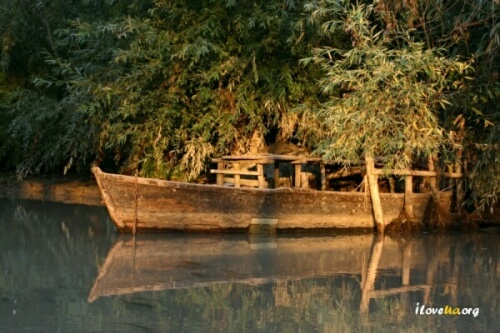 Старая лодка в лучах заходящего солнца. Вилково.