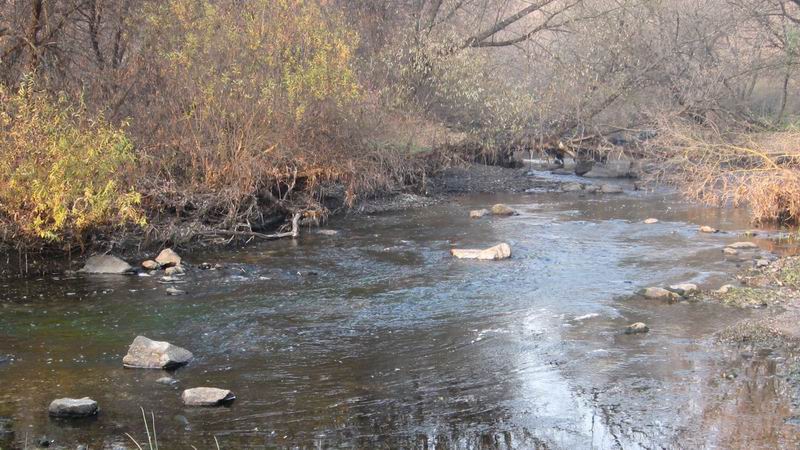 Река Ингулец возле села Искровка